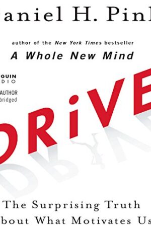 Drive- The Surprising Truth About What Motivates Us by Daniel H. Pink